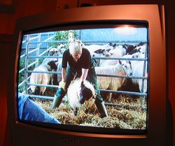 The Farm